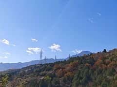 -白水寺森林公园