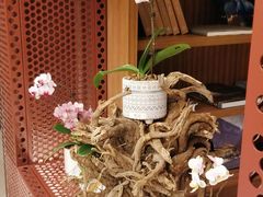 -二酉书店TOYOU BOOKS