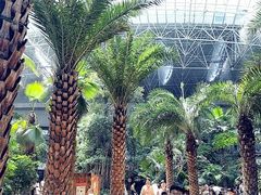 -渔岛海洋度假区