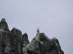 -千岛湖石林