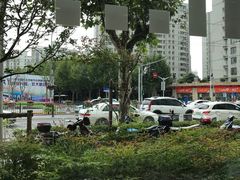 -红宝石·鲜奶小方(长阳店)