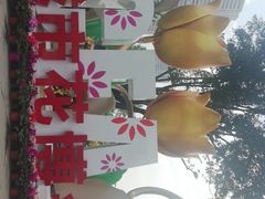 -重庆市江北嘴中央商务区中央公园