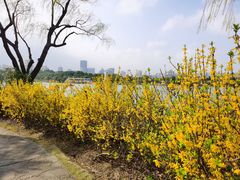 -黄兴公园