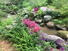 -火炉山森林公园
