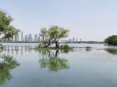 -渤公岛生态公园