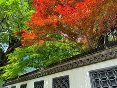 -七星龙虾城·海鲜·大闸蟹(吴江店)