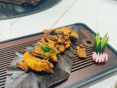-农乐园食府(梅城镇店)