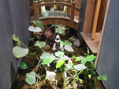 -邈墨茶馆(凤起路店)