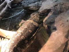 -重庆动物园·东二门售票处