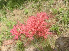 -雅达·阳羡溪山小镇中心