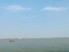 -大湾区中央湿地公园