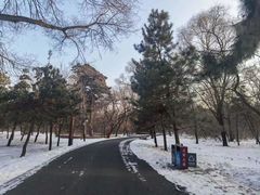 -南风大剧院莎梦二人转剧场