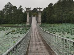 -东湖落雁景区