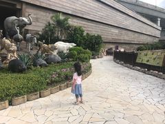 -挪亚方舟度假酒店