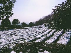 -南京市江宁方山