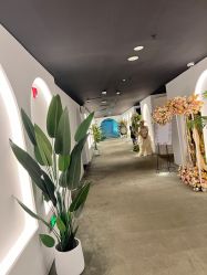 -格乐利雅婚礼艺术中心(浦东花木店)