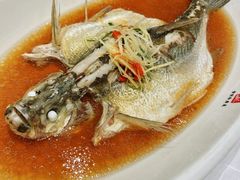 清蒸白水鱼-道道鲜·崇明私房菜(五角场店)