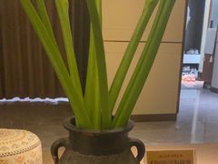 -象泰SPA·泰式按摩·足疗(卓悦中心店)