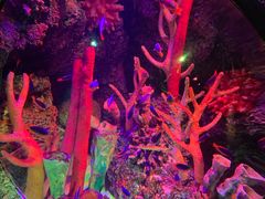 -沈阳海洋探索中心