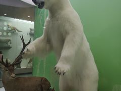 -国家自然博物馆