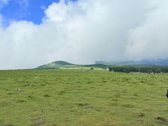 -芦芽山旅游度假区