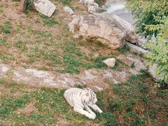 -石家庄市动物园