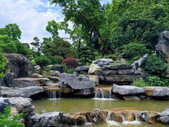 -东莞植物园