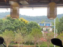 -芦茨金富饭庄·25年老字号·专做稻草鸡
