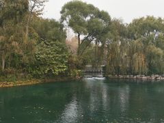 -百脉泉景区