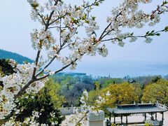 -青岛崂山太清宫