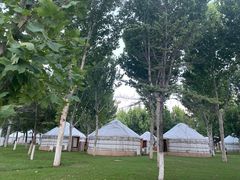 -九十九顶毡房(阜石路店)