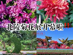 -北陵公园