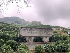 -龙井村