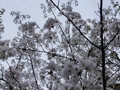 -恒大·海上威尼斯售楼处