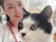 -喵屿·大理花园猫咖