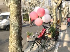-Apollo·西班牙小酒馆(安福路店)