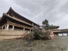 -瞿昙寺