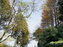 -莫干山风景区