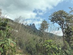 -七仙岭温泉国家森林公园