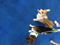 世博展览馆-东浩兰生上海世博展览馆