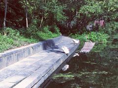 景点-武当山风景区