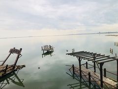 -碧海金沙