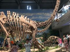 -自贡恐龙博物馆