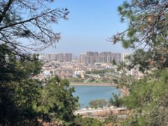 -青龙山国家森林公园