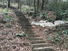 -青龙山国家森林公园