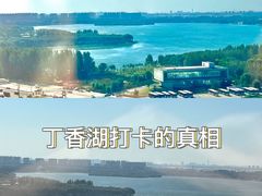 -丁香湖公园