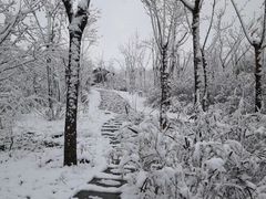 -小绿谷公园