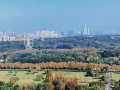 -宜兴龙背山森林公园