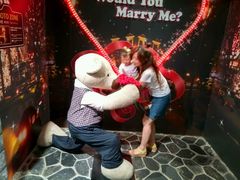 -济州岛泰迪熊博物馆