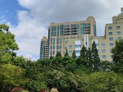 -徐家汇源景区-衡山公园